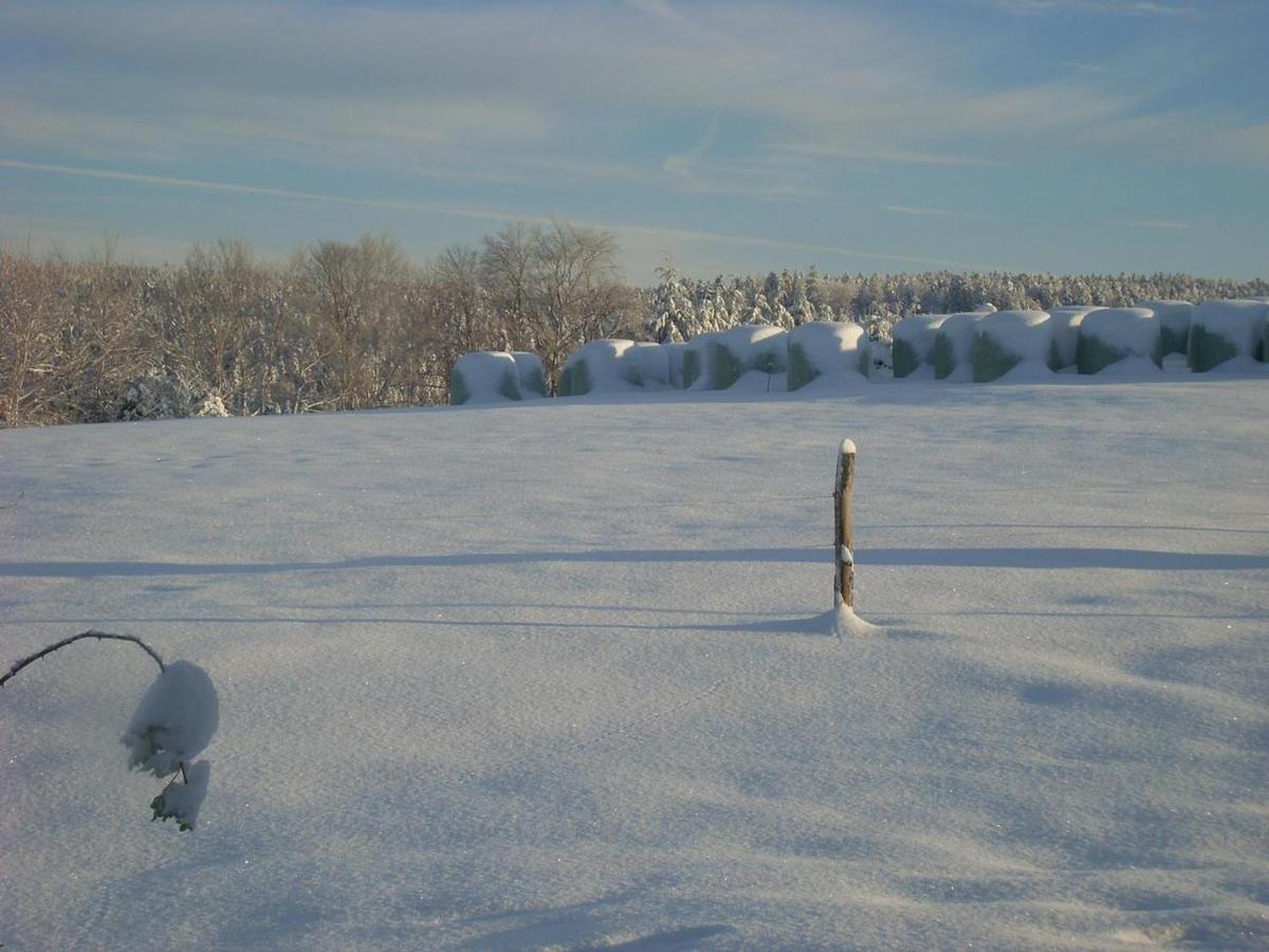 Location Vacances Des 4 Vents Girmont-Val-dʼAjol Esterno foto